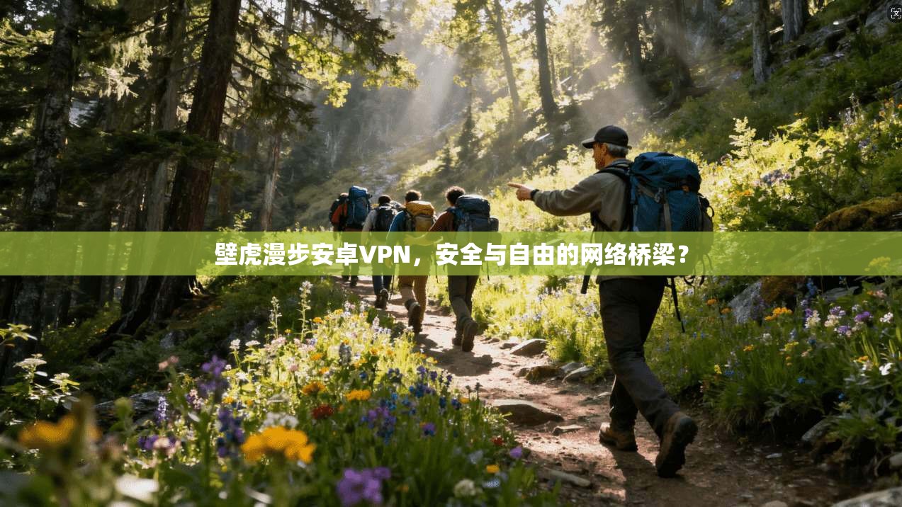 壁虎漫步安卓VPN，安全与自由的网络桥梁？