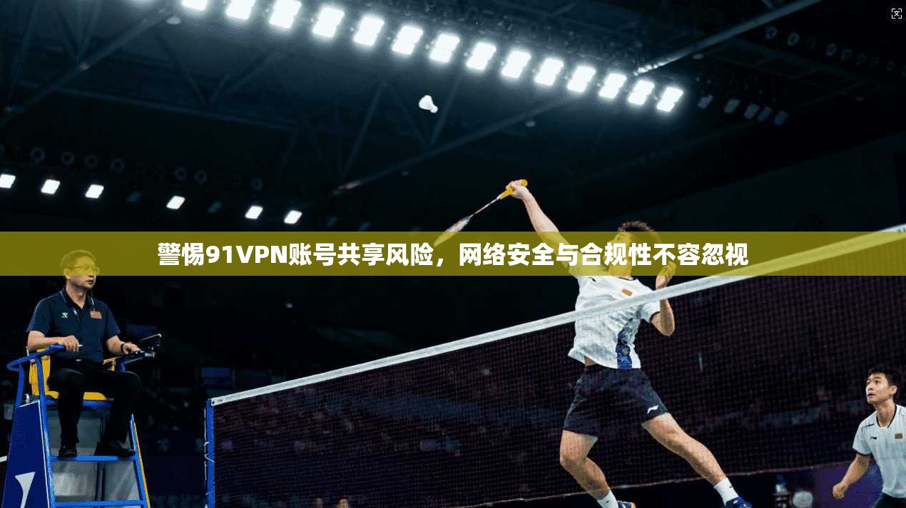 警惕91VPN账号共享风险，网络安全与合规性不容忽视