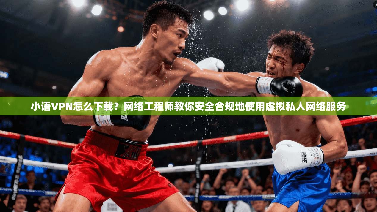 小语VPN怎么下载？网络工程师教你安全合规地使用虚拟私人网络服务