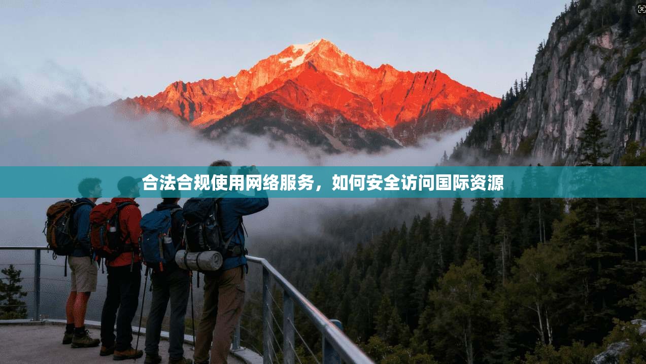合法合规使用网络服务，如何安全访问国际资源