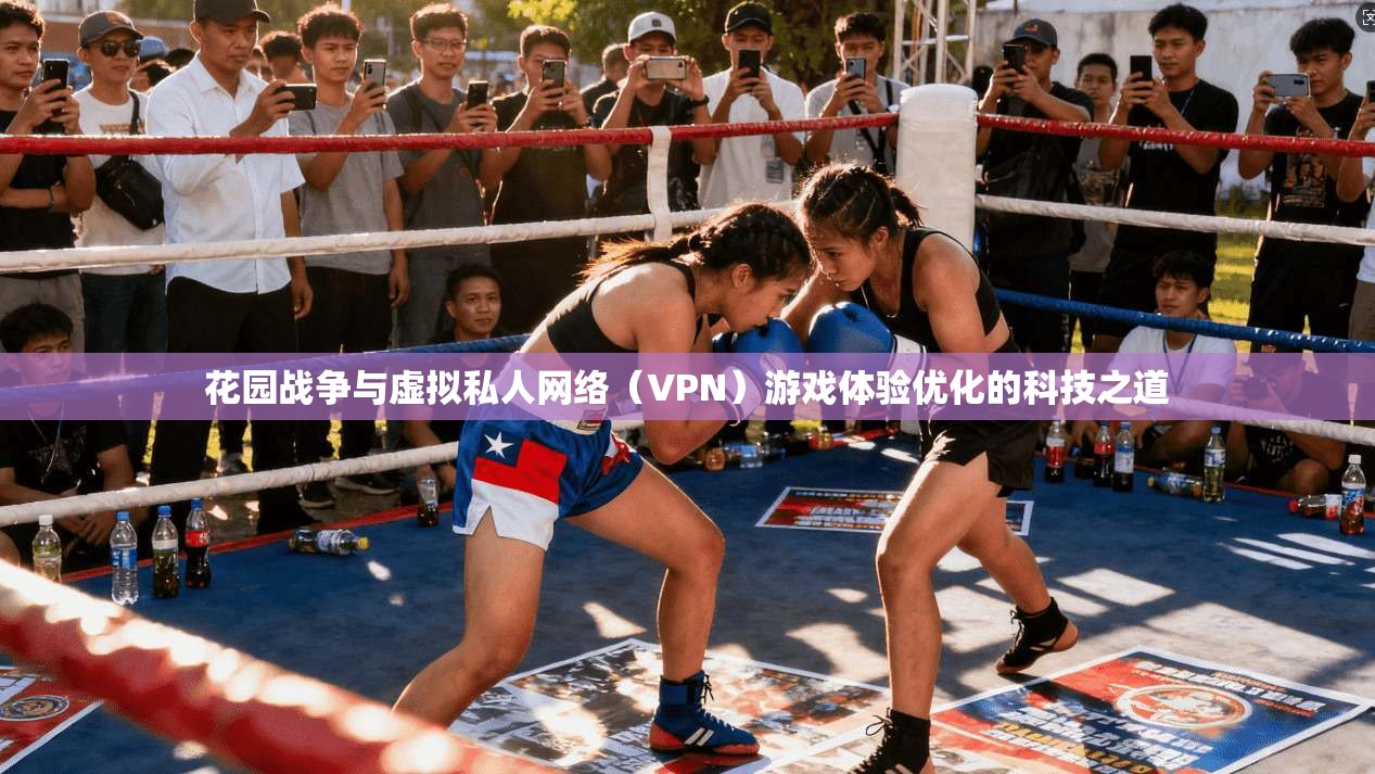 花园战争与虚拟私人网络（VPN）游戏体验优化的科技之道