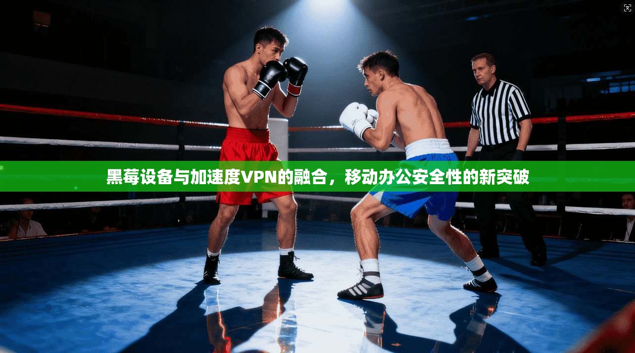 黑莓设备与加速度VPN的融合，移动办公安全性的新突破