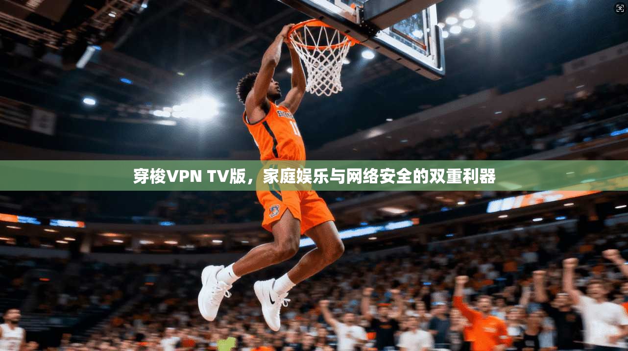 穿梭VPN TV版，家庭娱乐与网络安全的双重利器