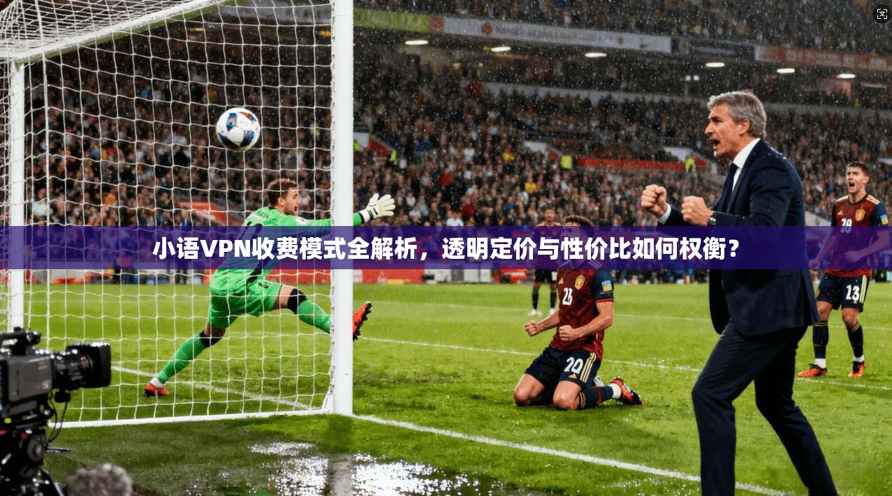 小语VPN收费模式全解析，透明定价与性价比如何权衡？