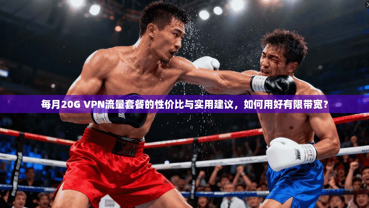 每月20G VPN流量套餐的性价比与实用建议，如何用好有限带宽？