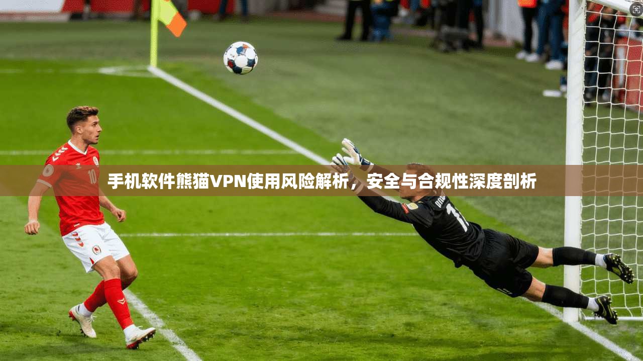 手机软件熊猫VPN使用风险解析，安全与合规性深度剖析
