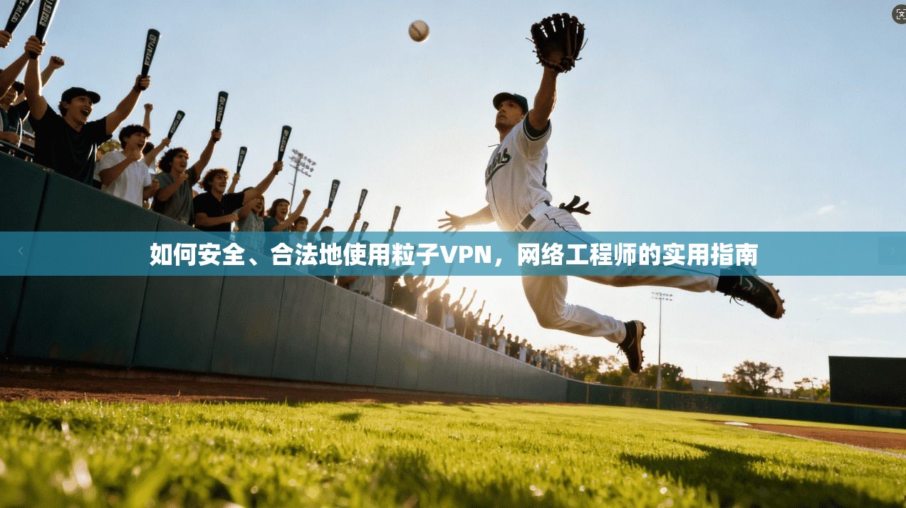 如何安全、合法地使用粒子VPN，网络工程师的实用指南