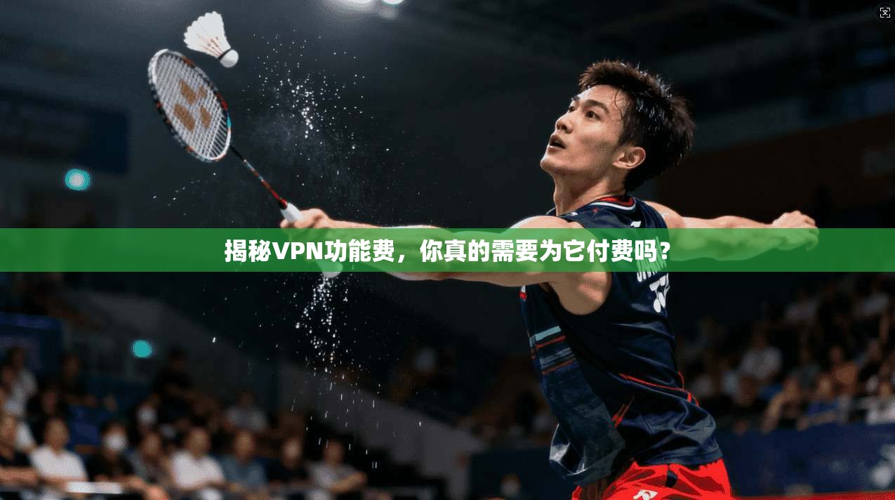 揭秘VPN功能费，你真的需要为它付费吗？