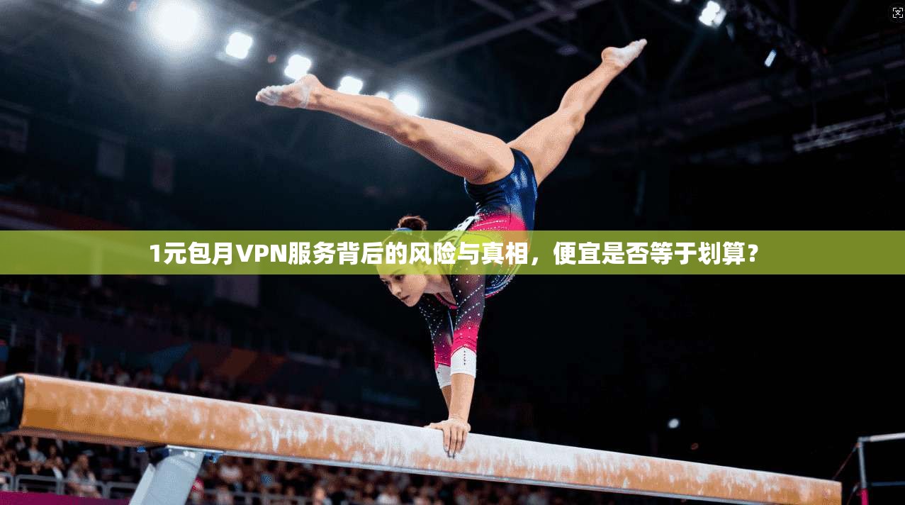 1元包月VPN服务背后的风险与真相，便宜是否等于划算？