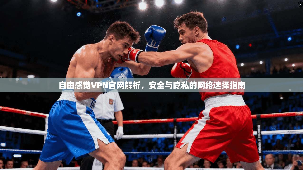 自由感觉VPN官网解析，安全与隐私的网络选择指南