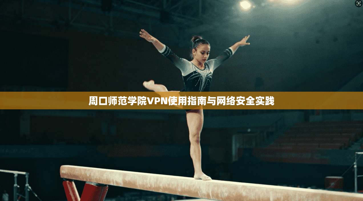 周口师范学院VPN使用指南与网络安全实践