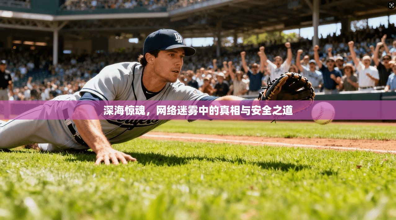 深海惊魂，网络迷雾中的真相与安全之道
