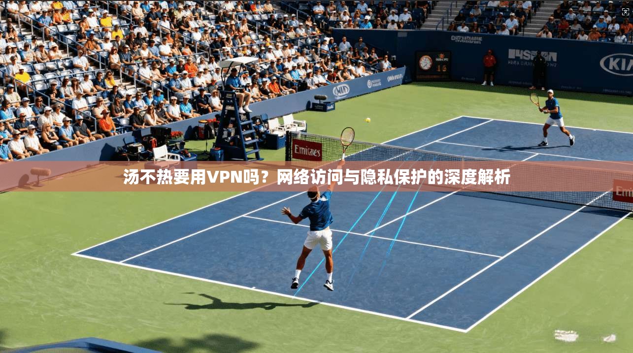 汤不热要用VPN吗？网络访问与隐私保护的深度解析