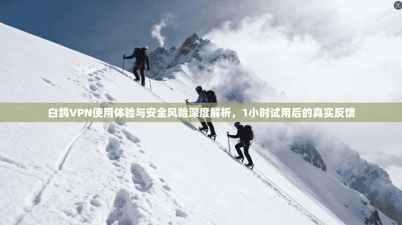 白鸽VPN使用体验与安全风险深度解析，1小时试用后的真实反馈