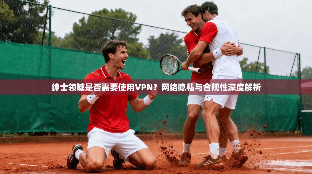 绅士领域是否需要使用VPN？网络隐私与合规性深度解析