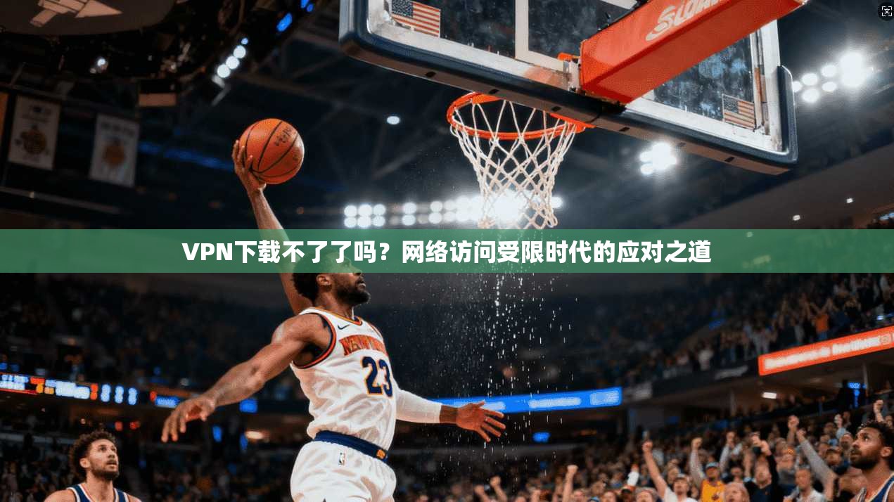VPN下载不了了吗？网络访问受限时代的应对之道