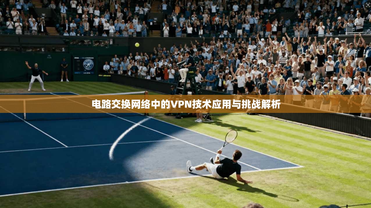 电路交换网络中的VPN技术应用与挑战解析