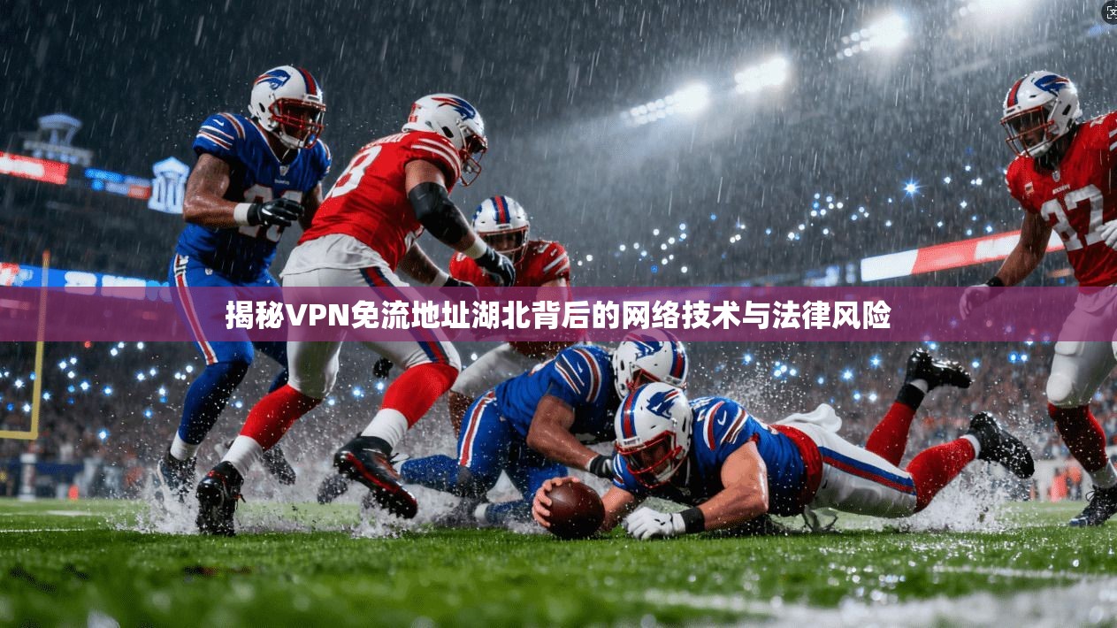 揭秘VPN免流地址湖北背后的网络技术与法律风险
