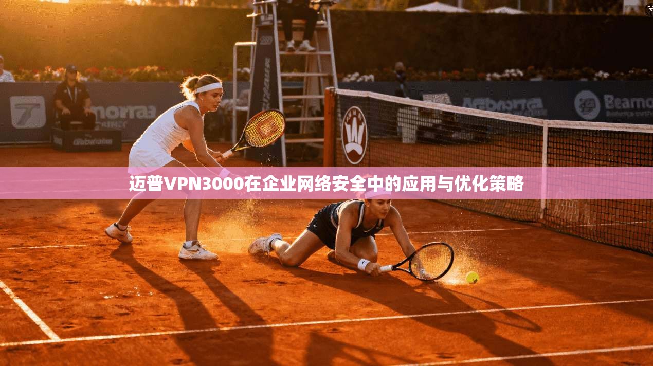 迈普VPN3000在企业网络安全中的应用与优化策略