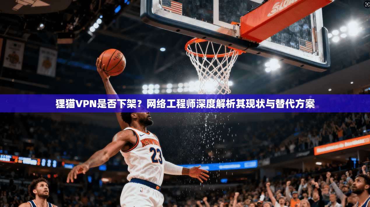 狸猫VPN是否下架？网络工程师深度解析其现状与替代方案