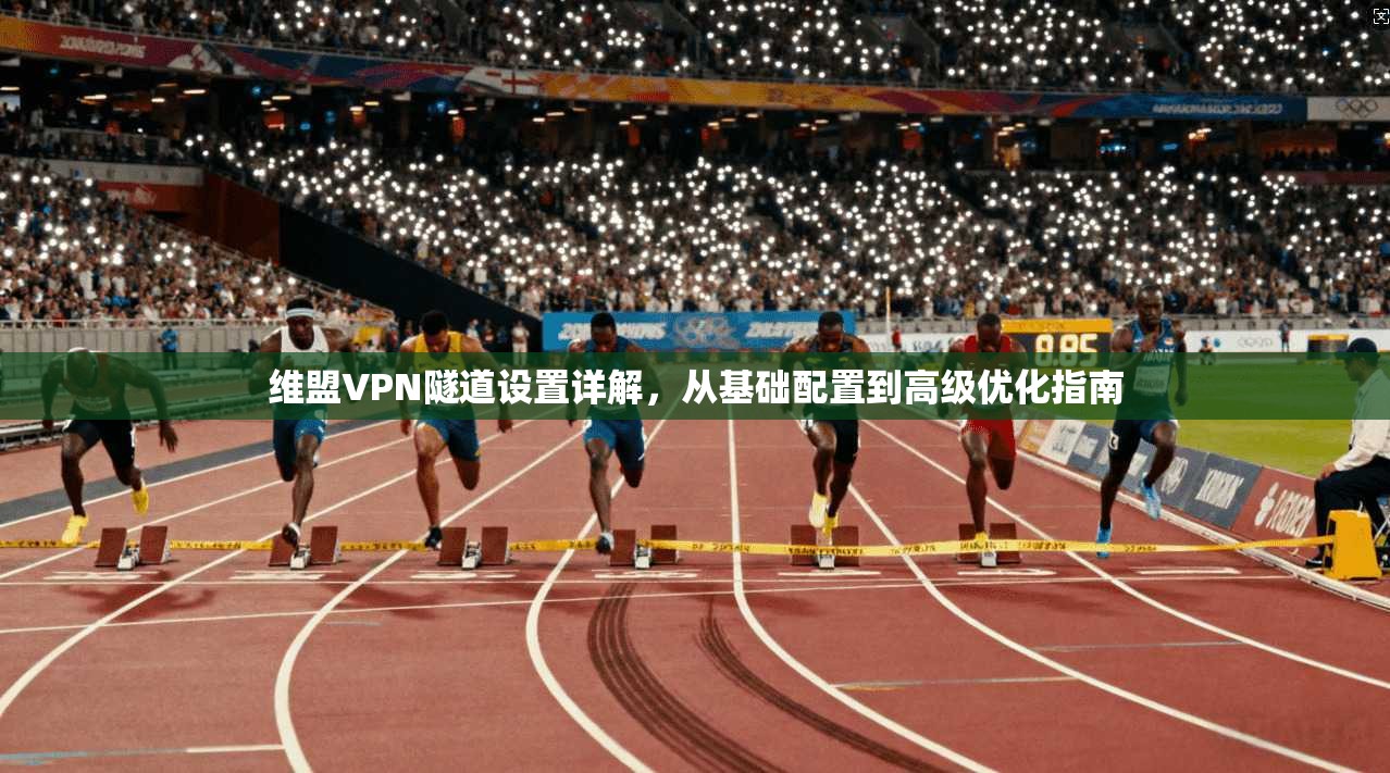 维盟VPN隧道设置详解，从基础配置到高级优化指南