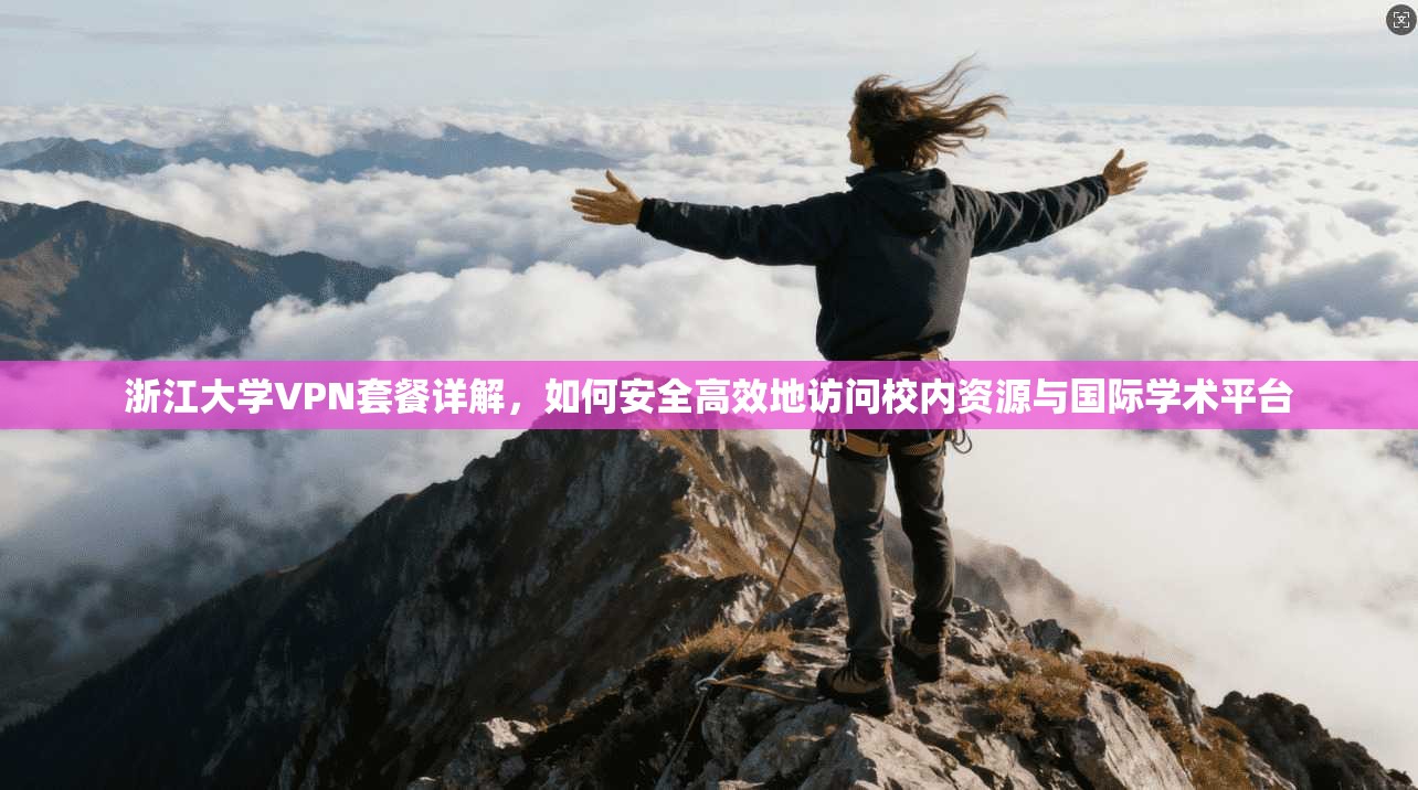 浙江大学VPN套餐详解，如何安全高效地访问校内资源与国际学术平台