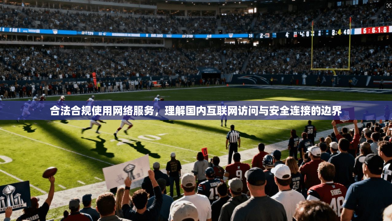 合法合规使用网络服务，理解国内互联网访问与安全连接的边界