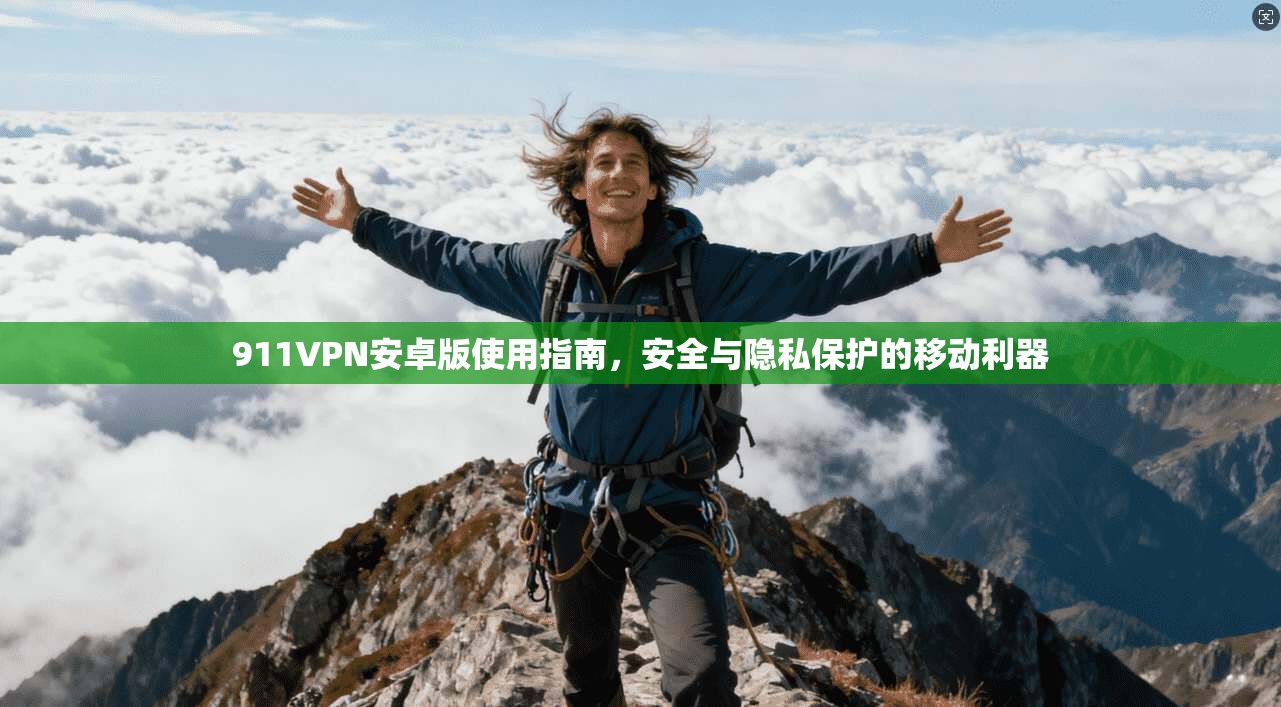 911VPN安卓版使用指南，安全与隐私保护的移动利器