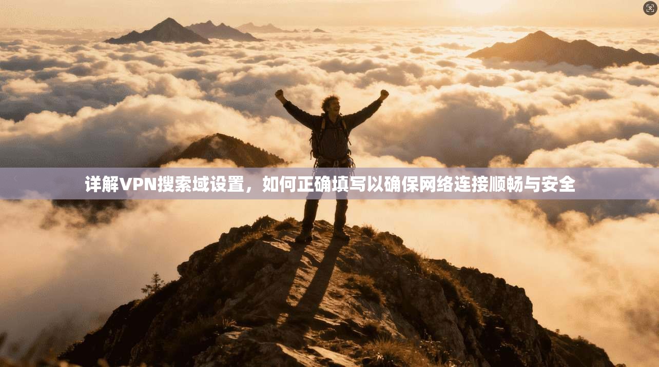 详解VPN搜索域设置，如何正确填写以确保网络连接顺畅与安全