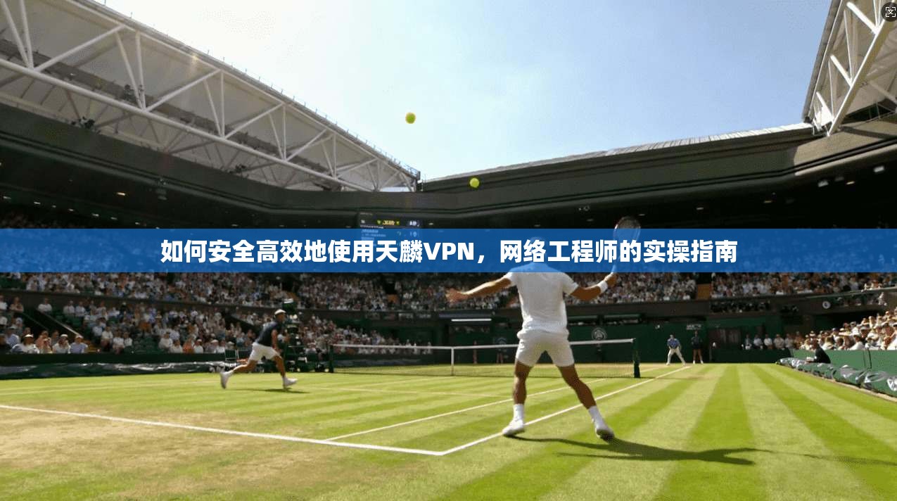 如何安全高效地使用天麟VPN，网络工程师的实操指南