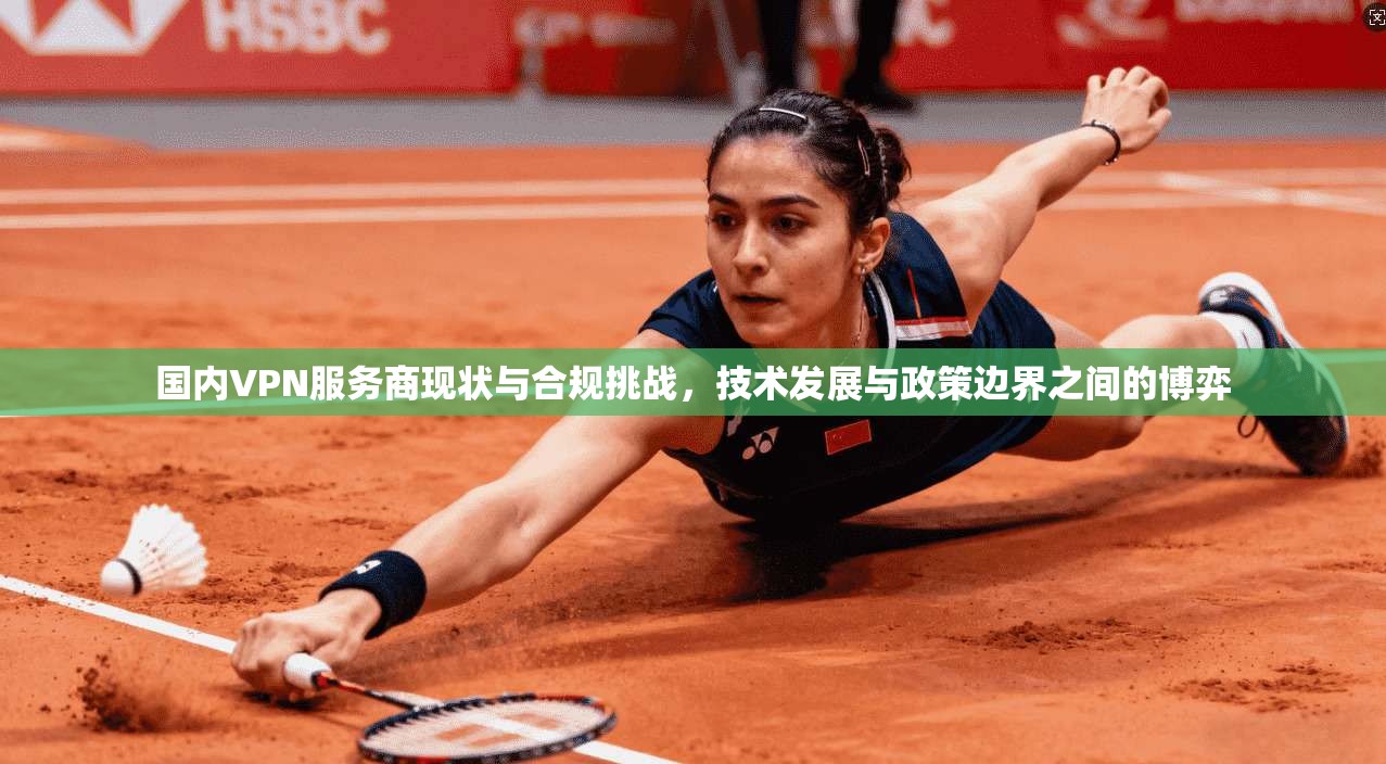 国内VPN服务商现状与合规挑战，技术发展与政策边界之间的博弈