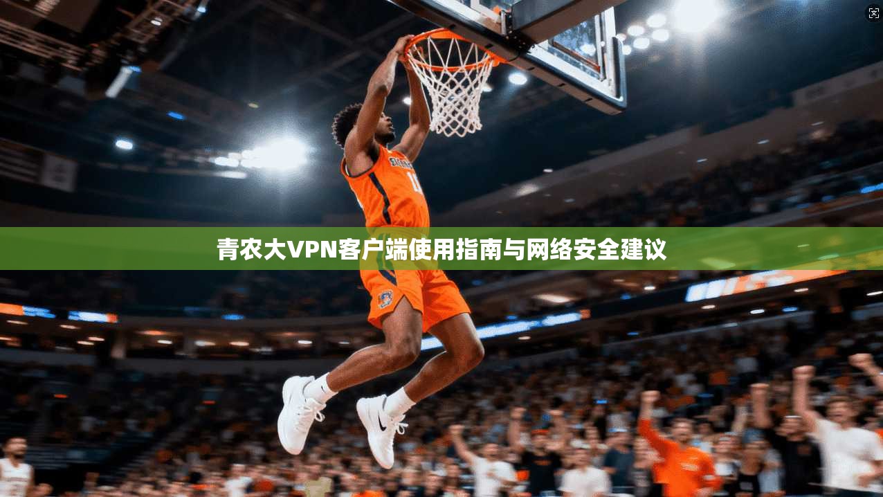 青农大VPN客户端使用指南与网络安全建议