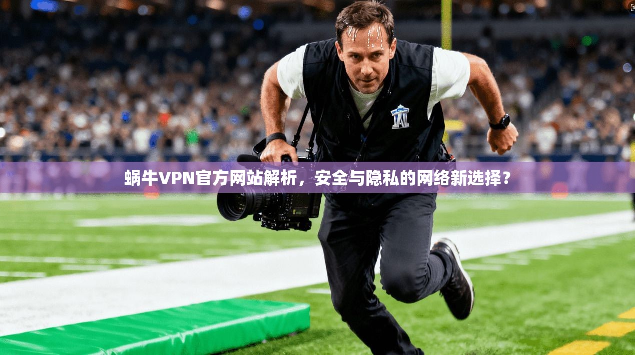 蜗牛VPN官方网站解析，安全与隐私的网络新选择？