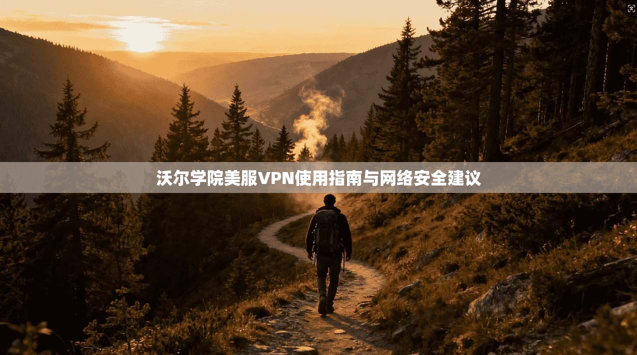 沃尔学院美服VPN使用指南与网络安全建议