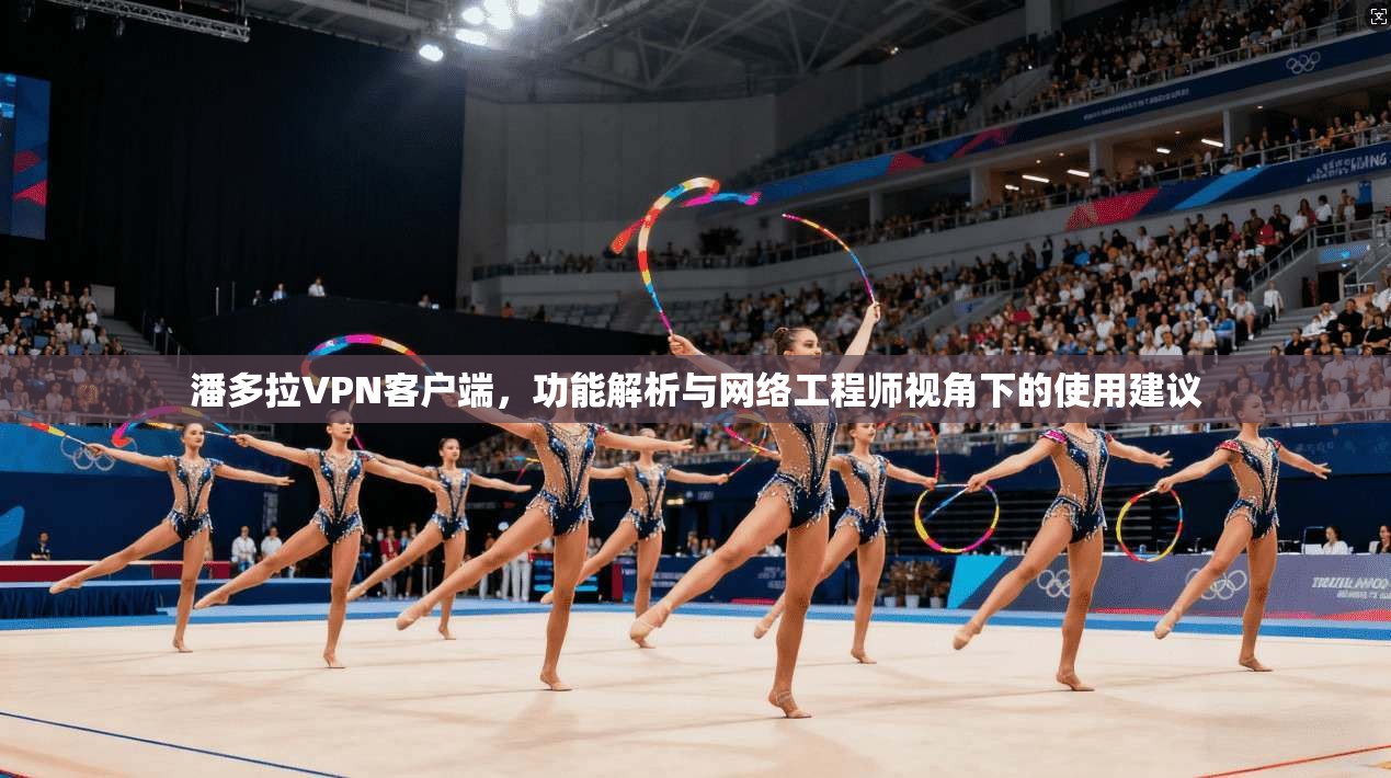 潘多拉VPN客户端，功能解析与网络工程师视角下的使用建议