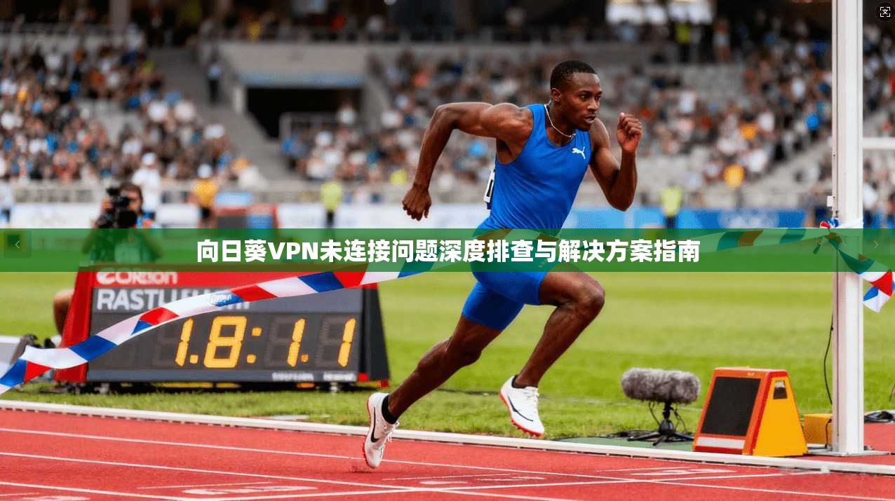 向日葵VPN未连接问题深度排查与解决方案指南