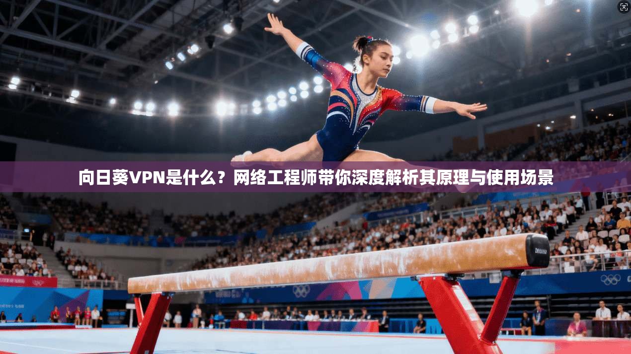 向日葵VPN是什么？网络工程师带你深度解析其原理与使用场景
