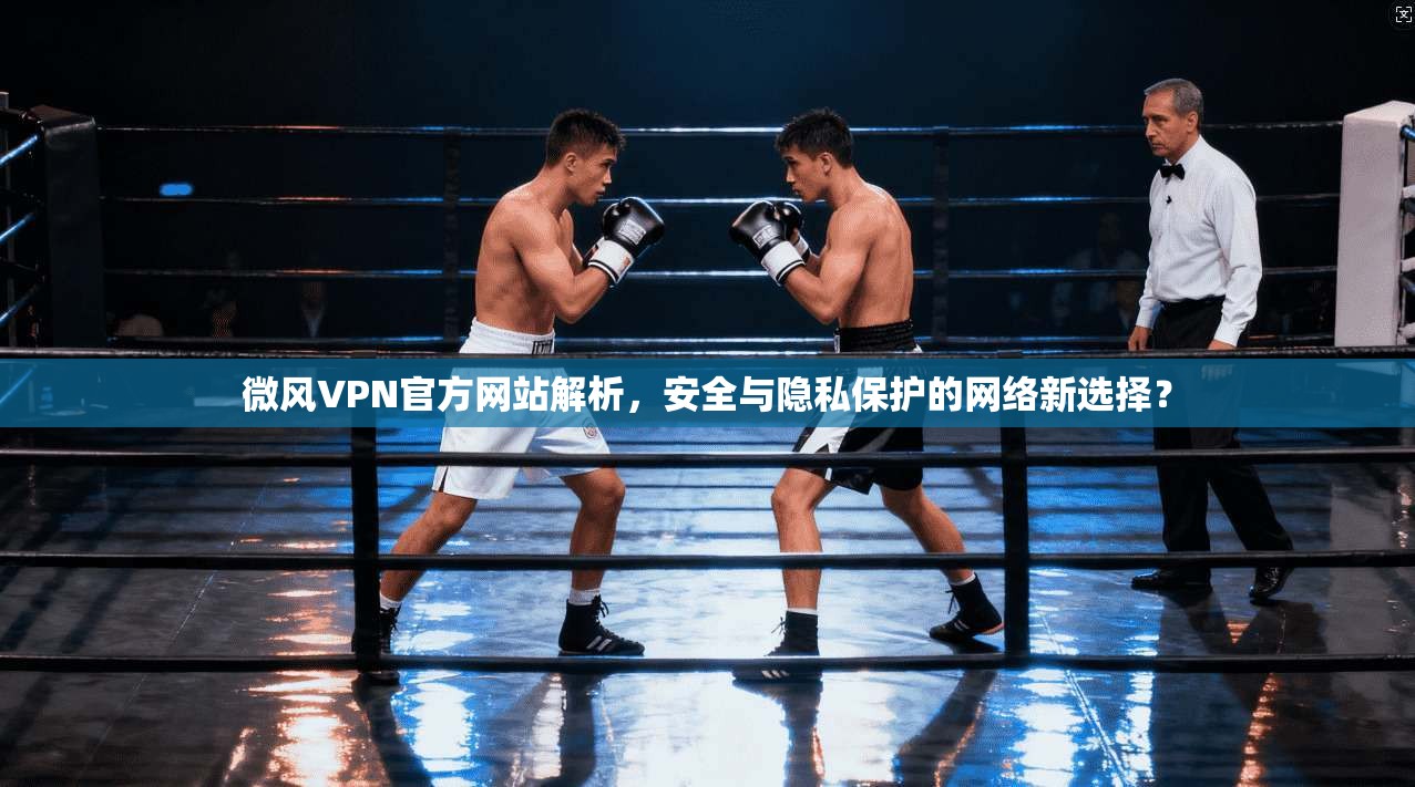 微风VPN官方网站解析，安全与隐私保护的网络新选择？