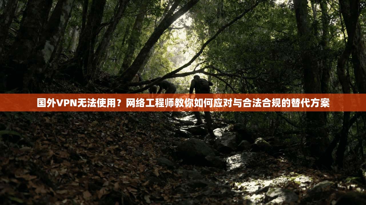 国外VPN无法使用？网络工程师教你如何应对与合法合规的替代方案