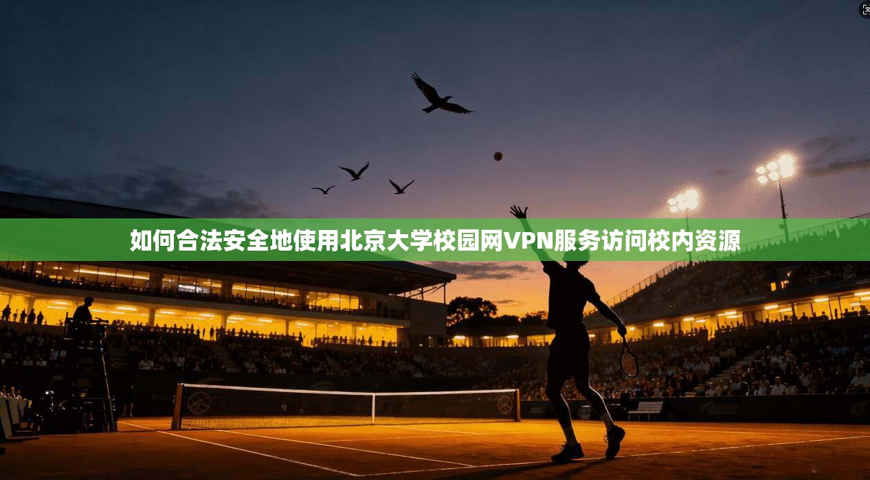 如何合法安全地使用北京大学校园网VPN服务访问校内资源