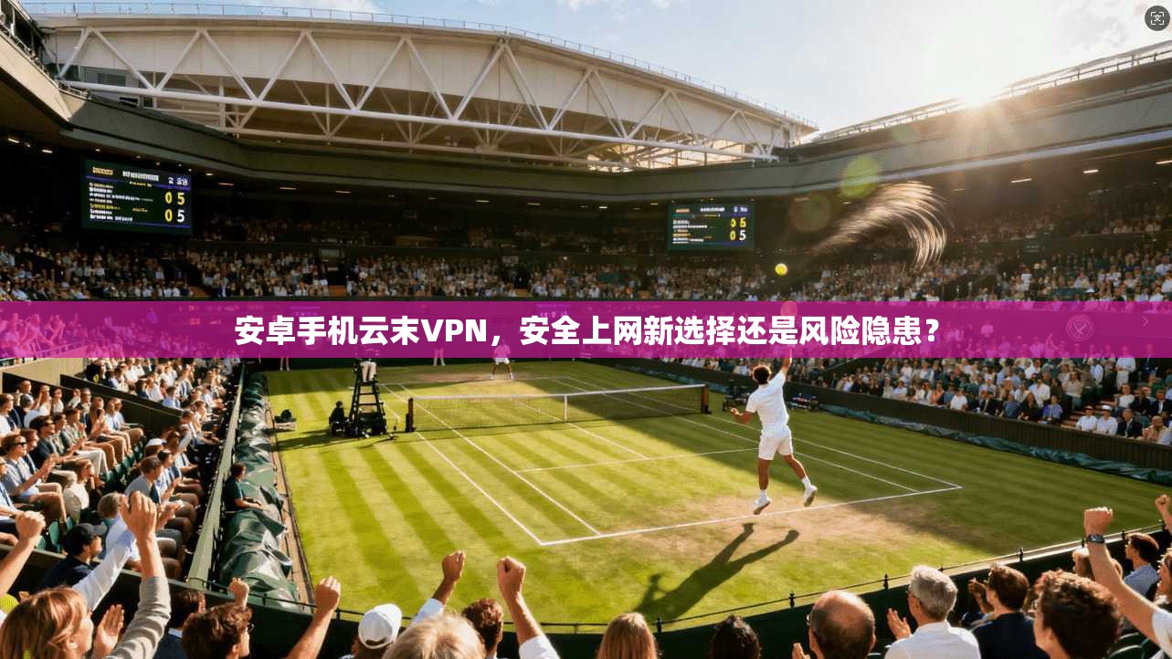 安卓手机云末VPN，安全上网新选择还是风险隐患？