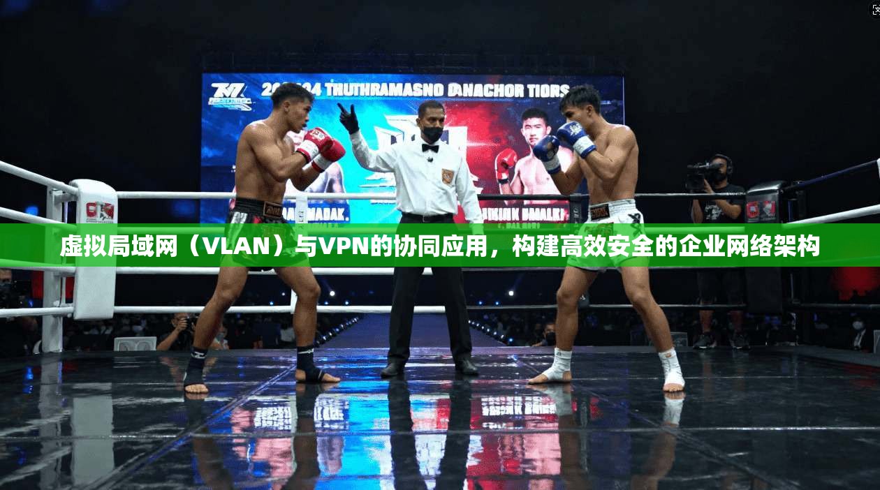 虚拟局域网（VLAN）与VPN的协同应用，构建高效安全的企业网络架构