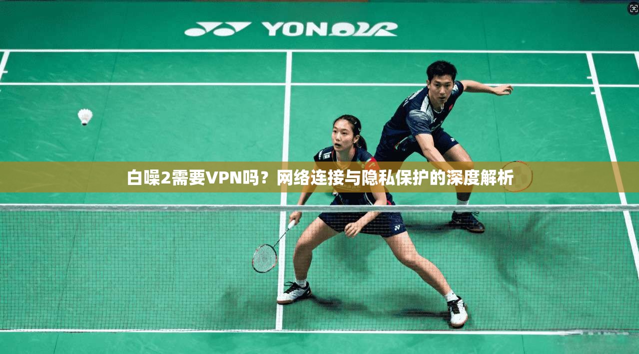 白噪2需要VPN吗？网络连接与隐私保护的深度解析