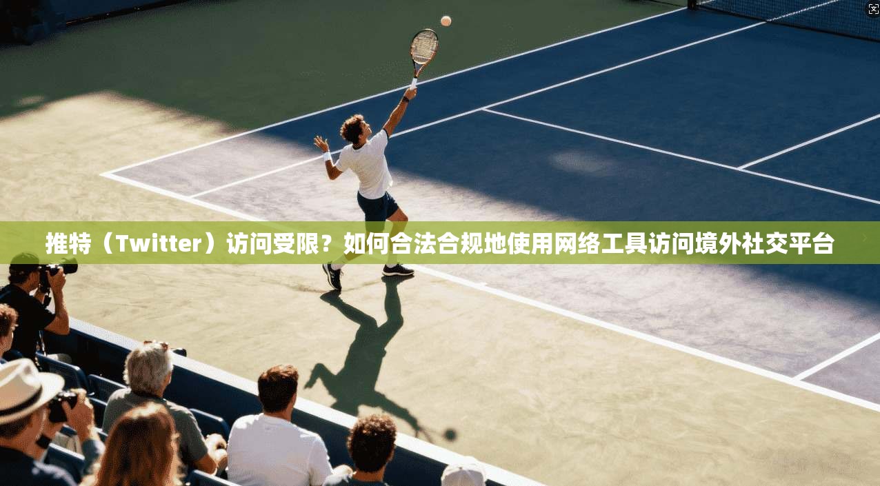 推特（Twitter）访问受限？如何合法合规地使用网络工具访问境外社交平台