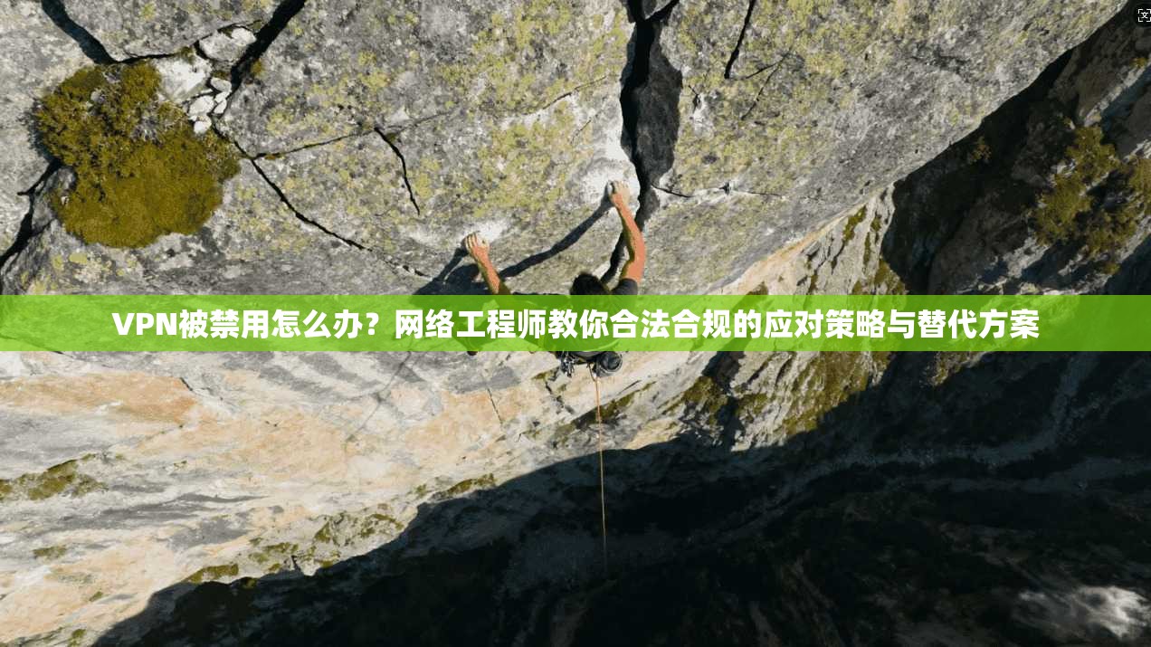 VPN被禁用怎么办？网络工程师教你合法合规的应对策略与替代方案