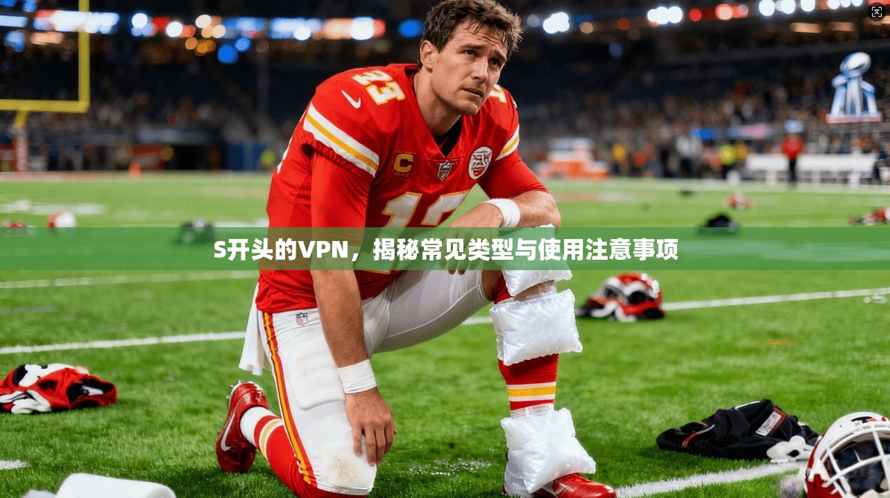 S开头的VPN，揭秘常见类型与使用注意事项