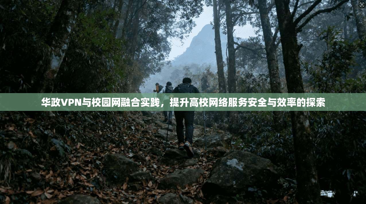 华政VPN与校园网融合实践，提升高校网络服务安全与效率的探索