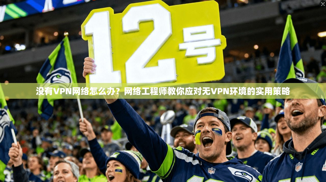 没有VPN网络怎么办？网络工程师教你应对无VPN环境的实用策略
