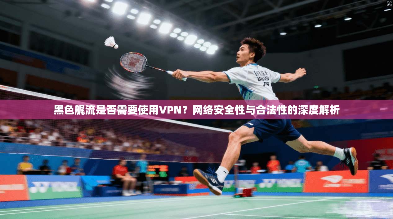 黑色艉流是否需要使用VPN？网络安全性与合法性的深度解析