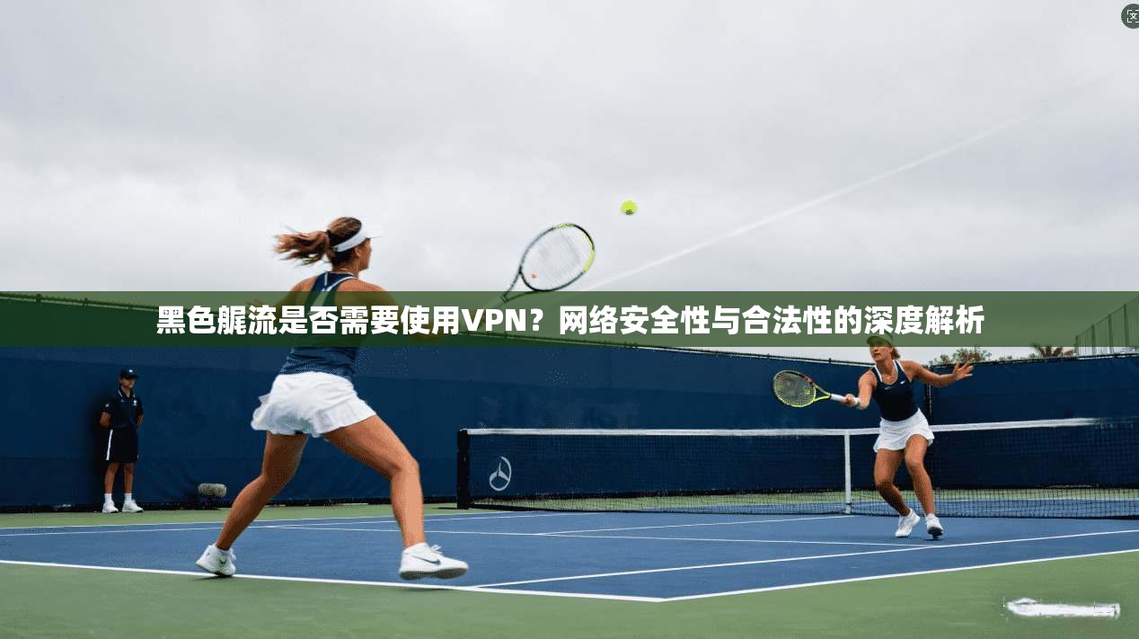 黑色艉流是否需要使用VPN？网络安全性与合法性的深度解析